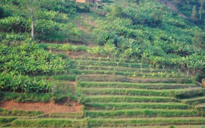 Rwanda – Home of My Son-To-Be